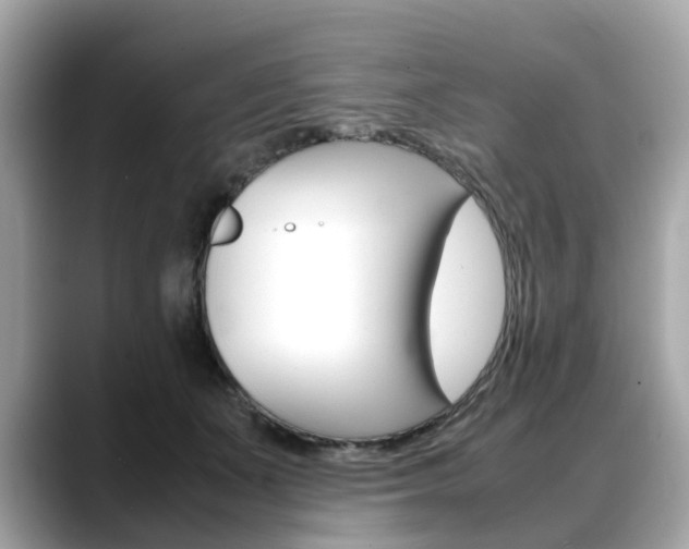 X0000088720511200705311059