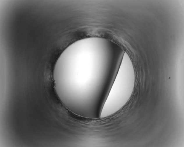 X0000088720513200705311059