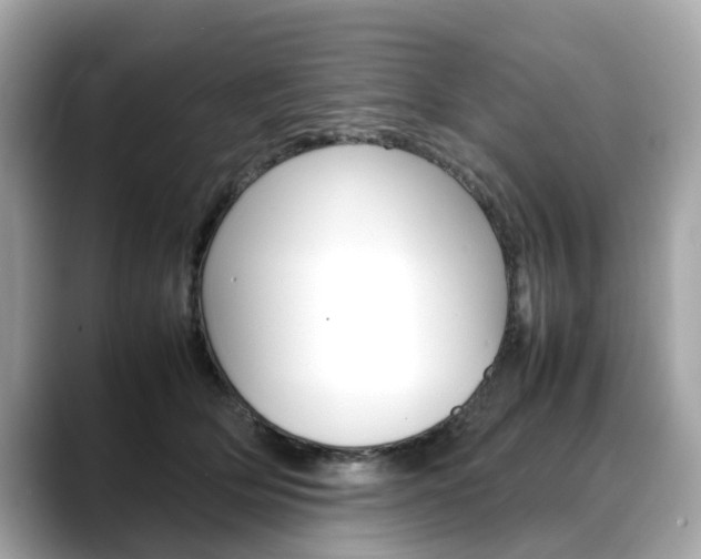 X0000088720514200705311059
