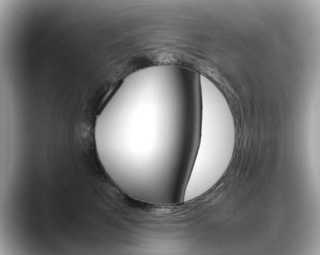 X0000088720521200705311059