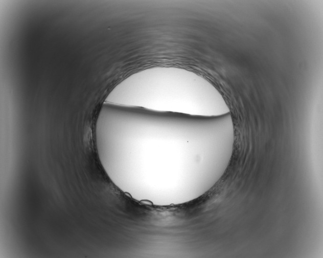 X0000088720523200705311059