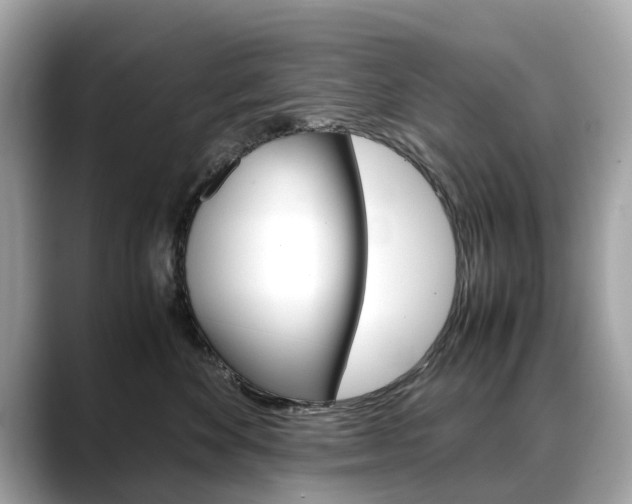 X0000088720524200705311059