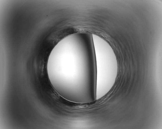 X0000088720525200705311059