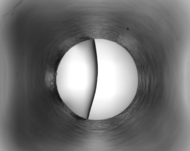 X0000088720526200705311059
