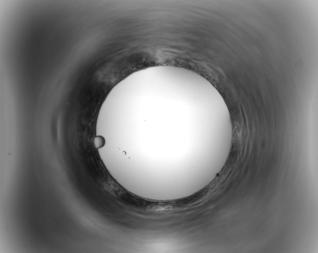 X0000088720527200705311059