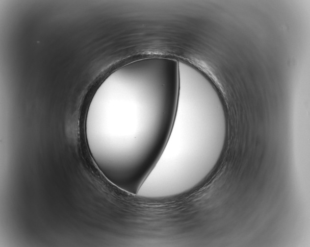 X0000088720531200705311059