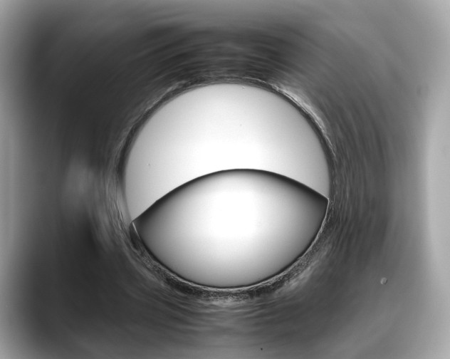 X0000088720533200705311059