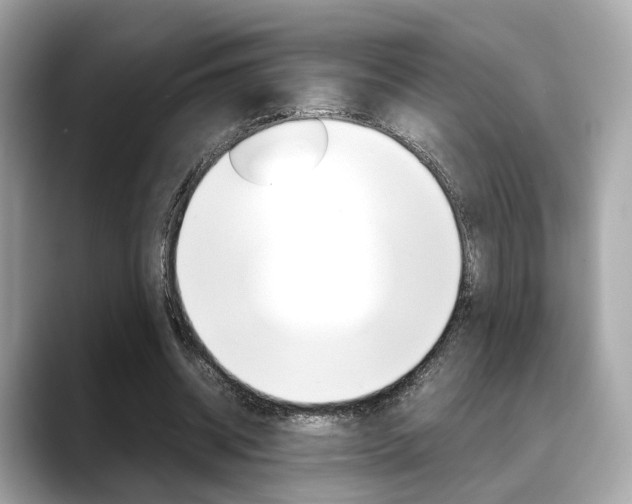 X0000088720534200705311059