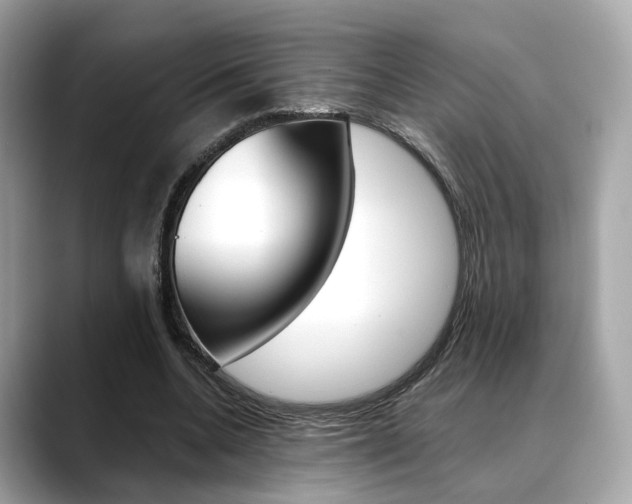 X0000088720536200705311059