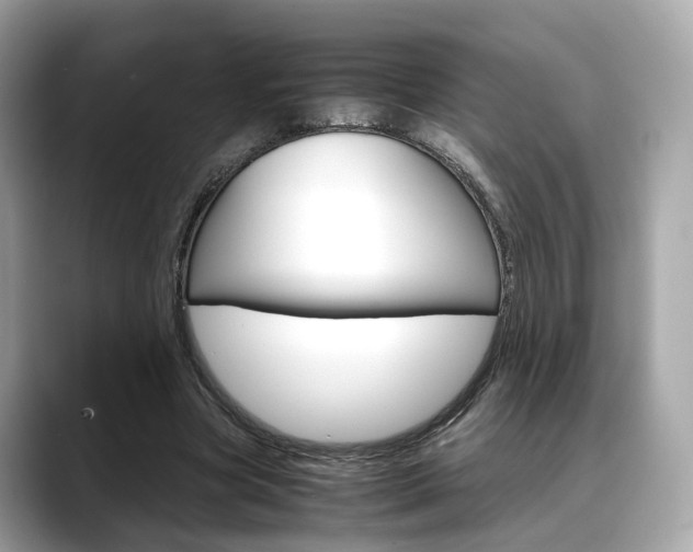 X0000088720537200705311059