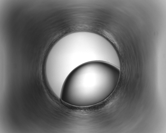 X0000088720538200705311059