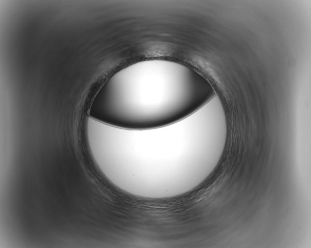 X0000088720539200705311059