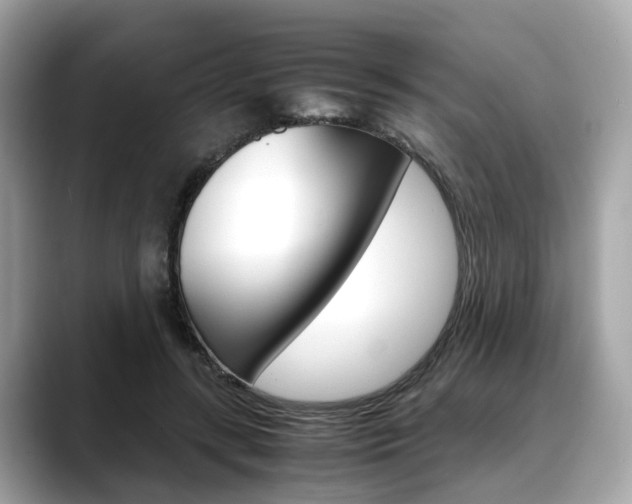 X0000088720547200705311059