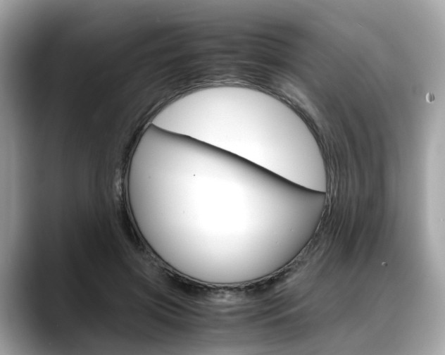 X0000088720549200705311059