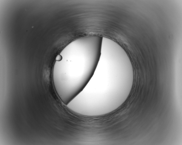 X0000088720550200705311059