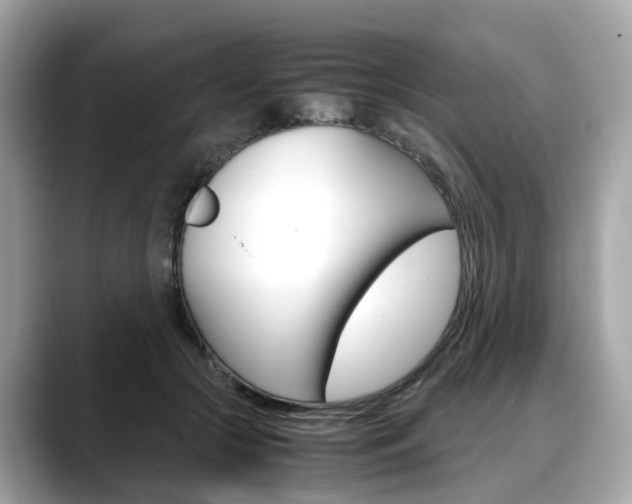 X0000088720553200705311059