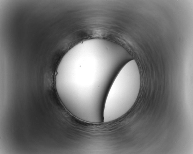 X0000088720554200705311059