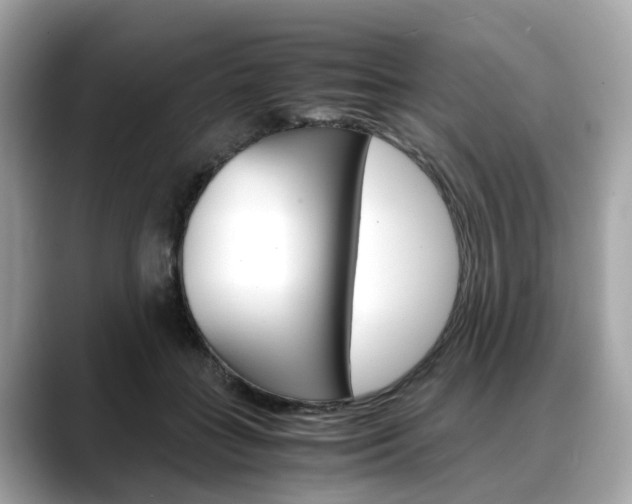 X0000088720555200705311059