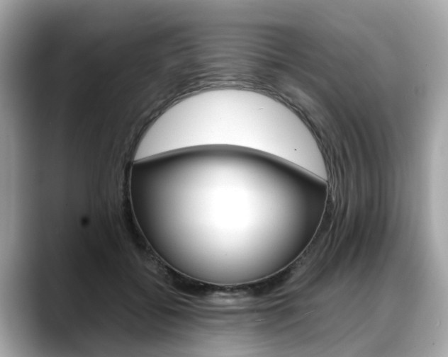 X0000088720556200705311059