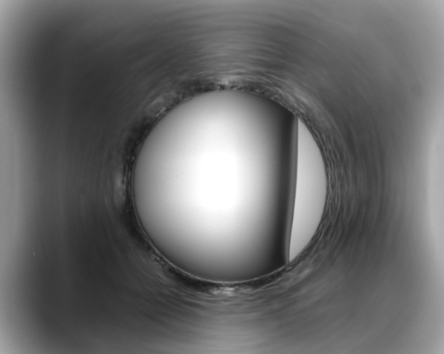 X0000088720558200705311059