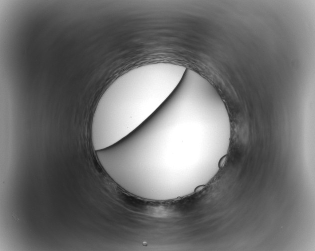 X0000088720561200705311059