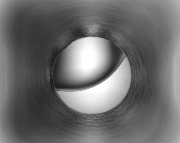 X0000088720562200705311059