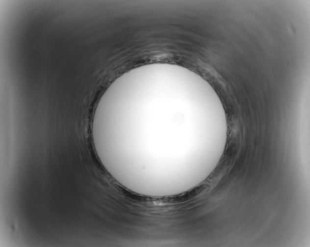 X0000088720565200705311059