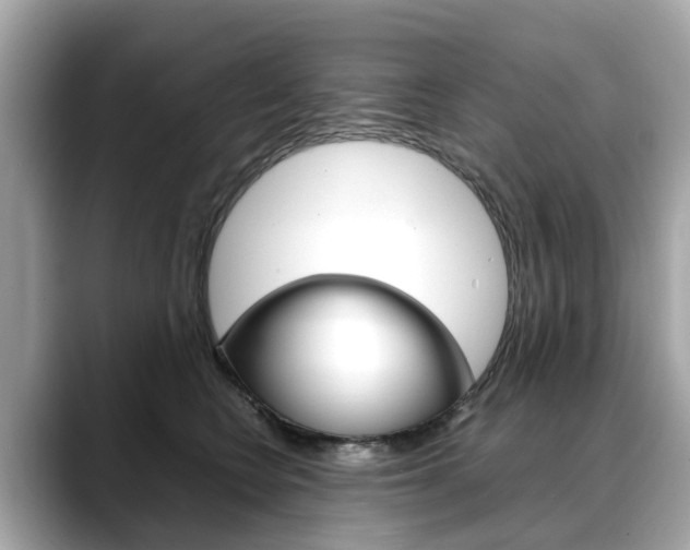 X0000088720566200705311059