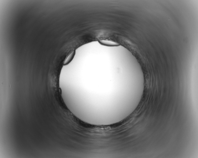 X0000088720571200705311059