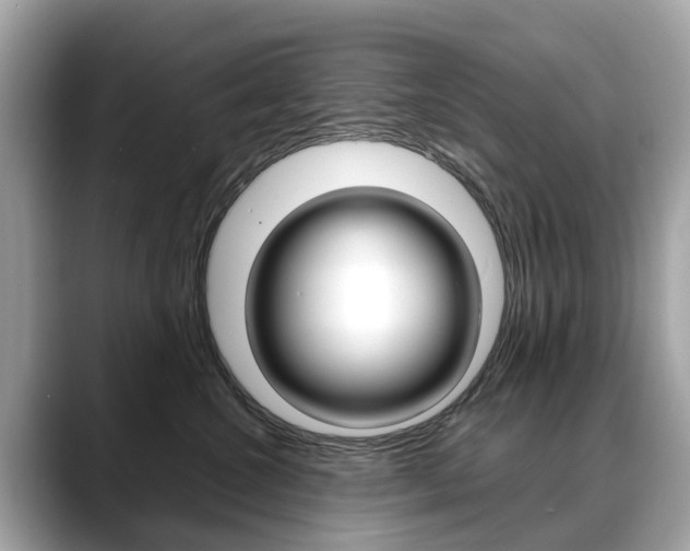 X0000088720572200705311059