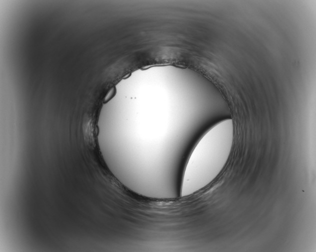 X0000088720575200705311059