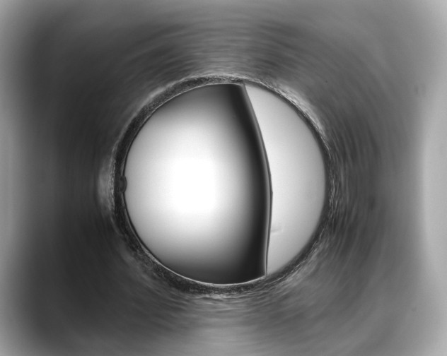 X0000088720580200705311059