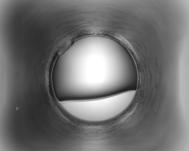 X0000088720581200705311059