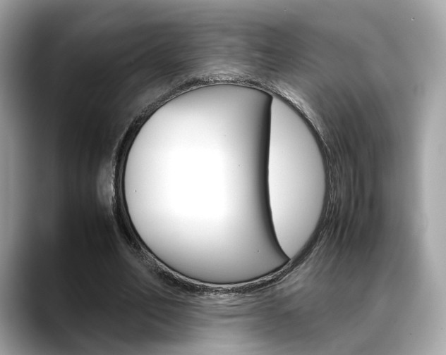 X0000088720582200705311059