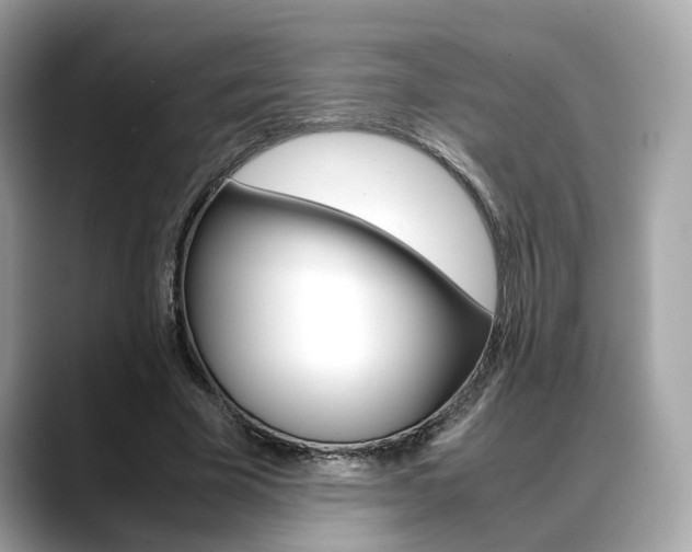 X0000088720585200705311059