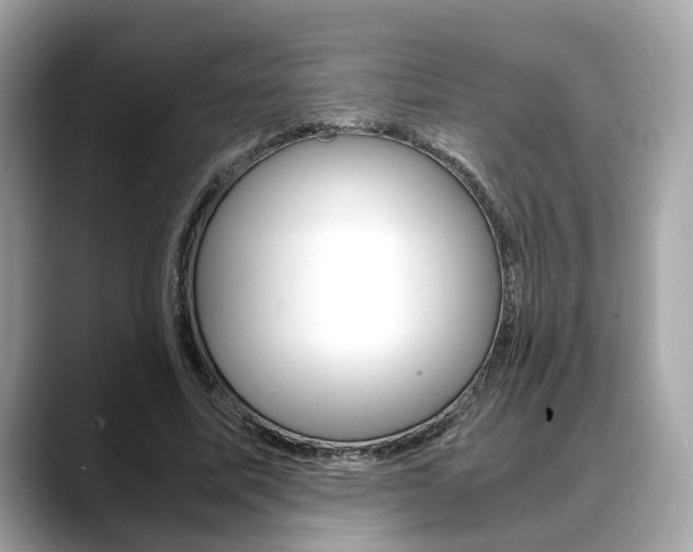 X0000088720587200705311058