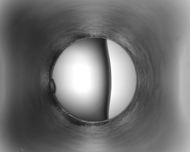 X0000088720593200705311058