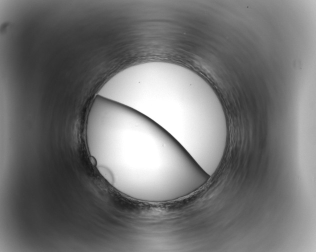 X0000088720594200705311058