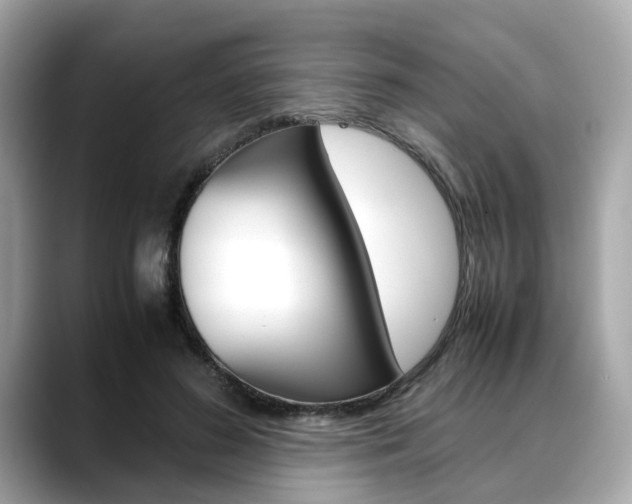 X0000088720596200705311058