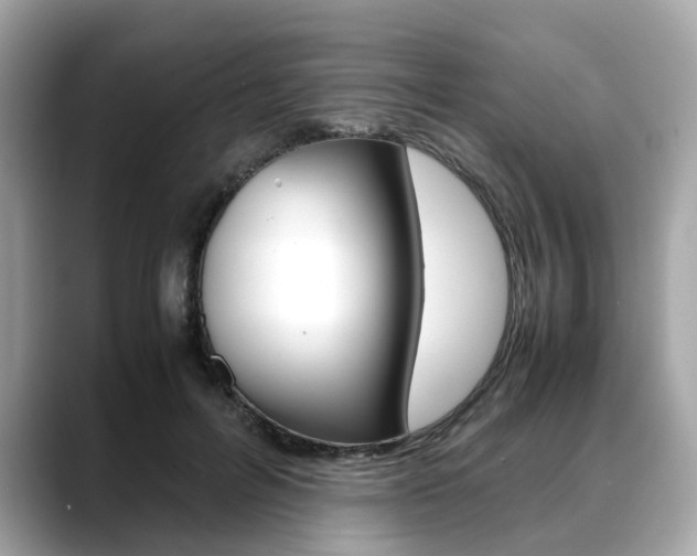 X0000088720600200705311058