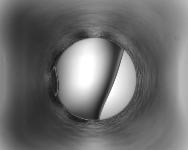 X0000088720601200705311058