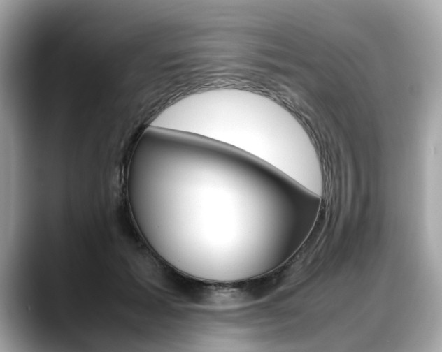 X0000088720605200705311058