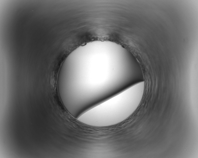X0000088720609200705311058