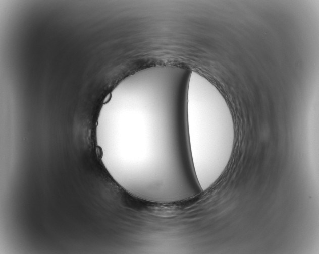 X0000088720615200705311058