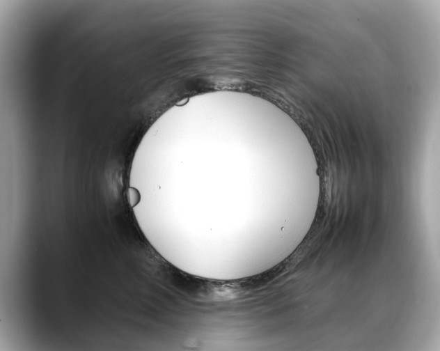 X0000088720618200705311058