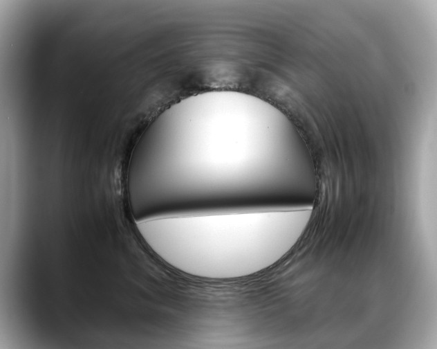 X0000088720620200705311058