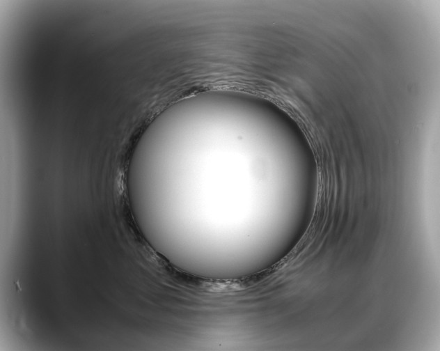 X0000088720621200705311058