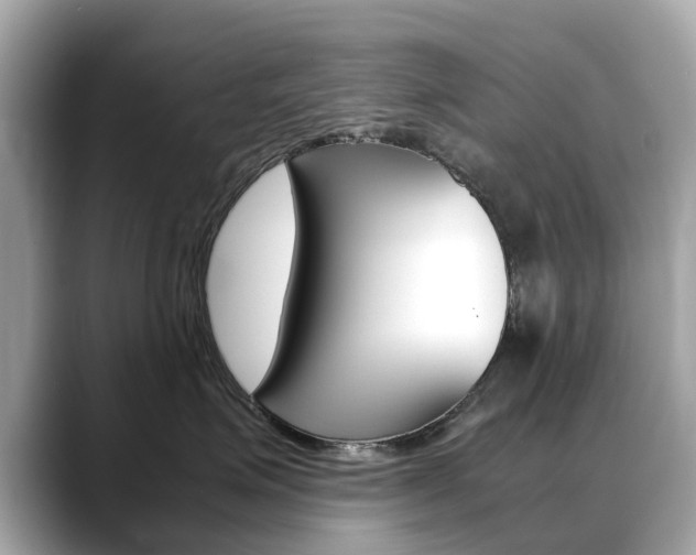 X0000088720623200705311058