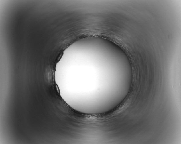 X0000088720624200705311058