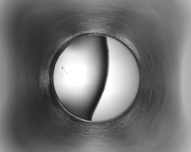 X0000088720628200705311057